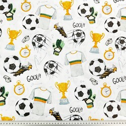 Cotton 100% football champions cup on a white background