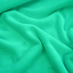 Minky smooth Premium (Sea green)