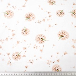 Cotton 100% beige dandelions on a white background