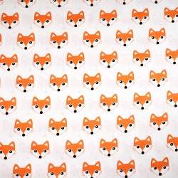 Cotton orange foxes on white background