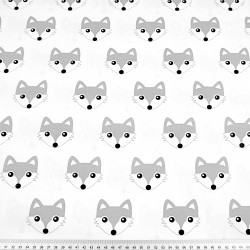 Cotton gray foxes on white background