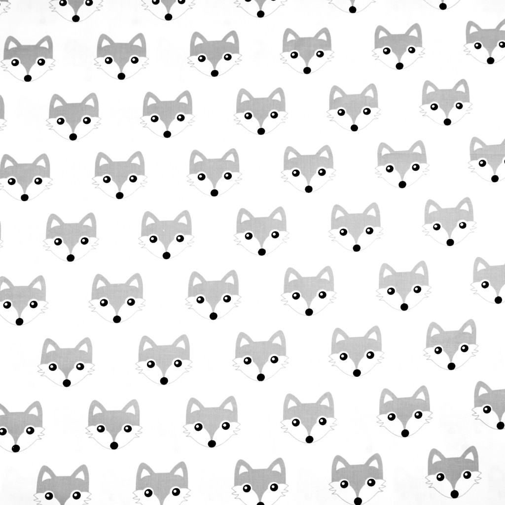 Cotton gray foxes on white background