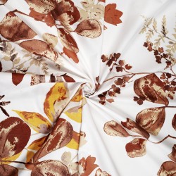 Cotton 100% brown eucalyptus leaves on white background