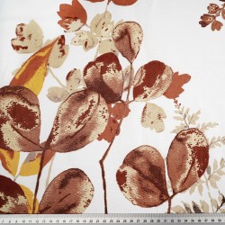 Cotton 100% brown eucalyptus leaves on white background