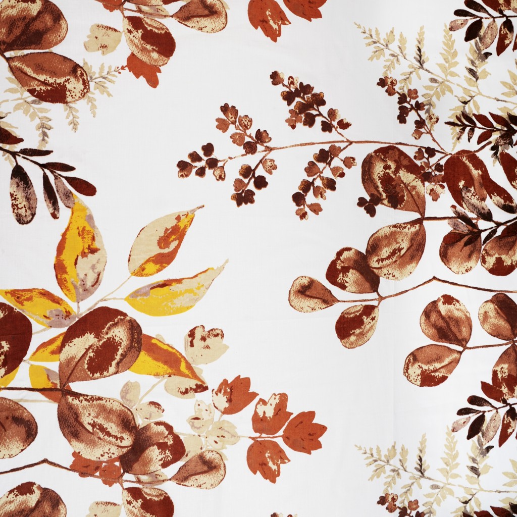 Cotton 100% brown eucalyptus leaves on white background