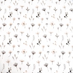 Cotton gray-beige wildflowers on a white background