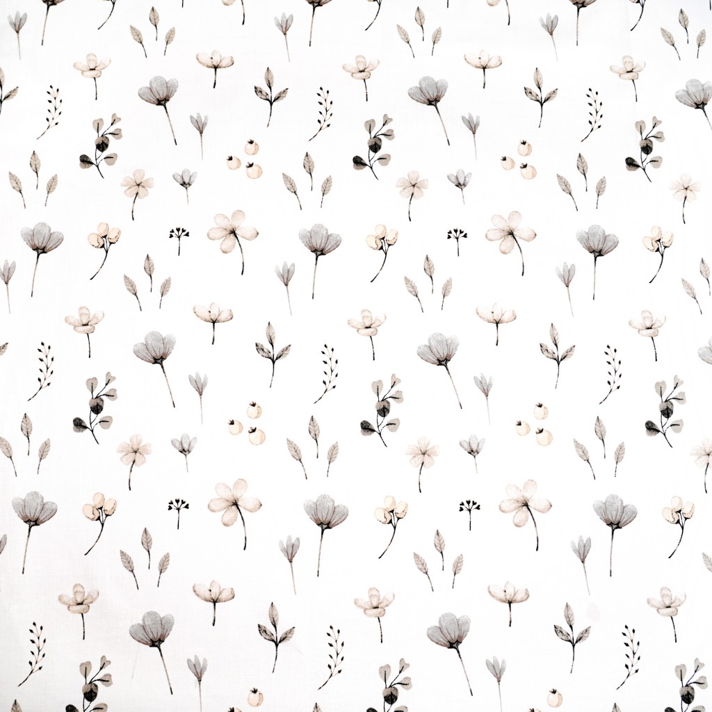 Cotton gray-beige wildflowers on a white background