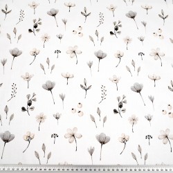 Cotton gray-beige wildflowers on a white background