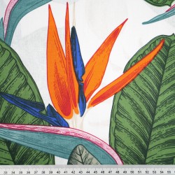 Cotton 100% strelitzia flowers on a white background - 220 cm