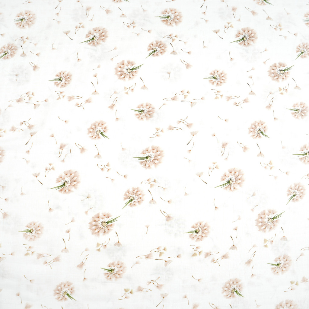 Cotton muslin beige dandelions on a white background