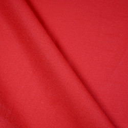 Red drill fabric - 05