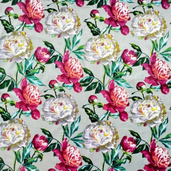 Cotton fabric pink and white peonies on a gray background - 220 cm