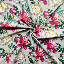 Cotton fabric pink and white peonies on a gray background - 220 cm