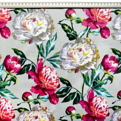 Cotton fabric pink and white peonies on a gray background - 220 cm