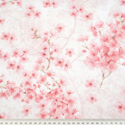 Cotton 100% Japanese cherry blossoms pink on a white background