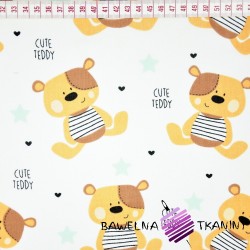 Cotton brown cute teddy bears on white background