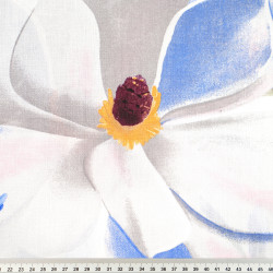 Cotton Fabric Sapphire-Gray Magnolia Flowers on a White Background