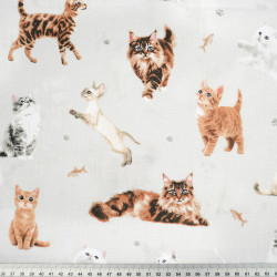 Cotton 100% Cat Breeds on a Light Gray Background
