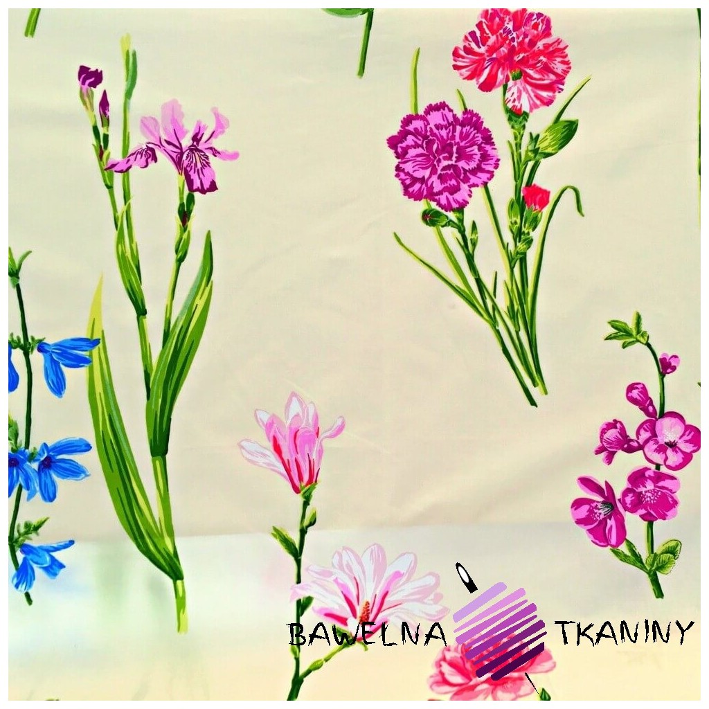 Cotton Irises and cloves on ecru background