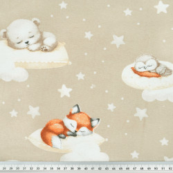 Flannel Sleeping Animals on Pillows on a Beige Background