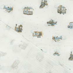 Printed Muslin Double Gauze – Blue-Beige Vehicles