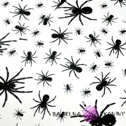 Cotton black spiders on white background
