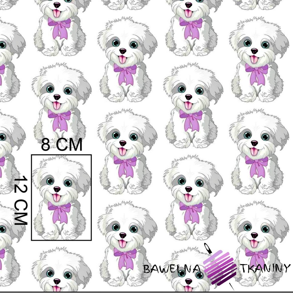 Cotton dogs with purple bows on white background