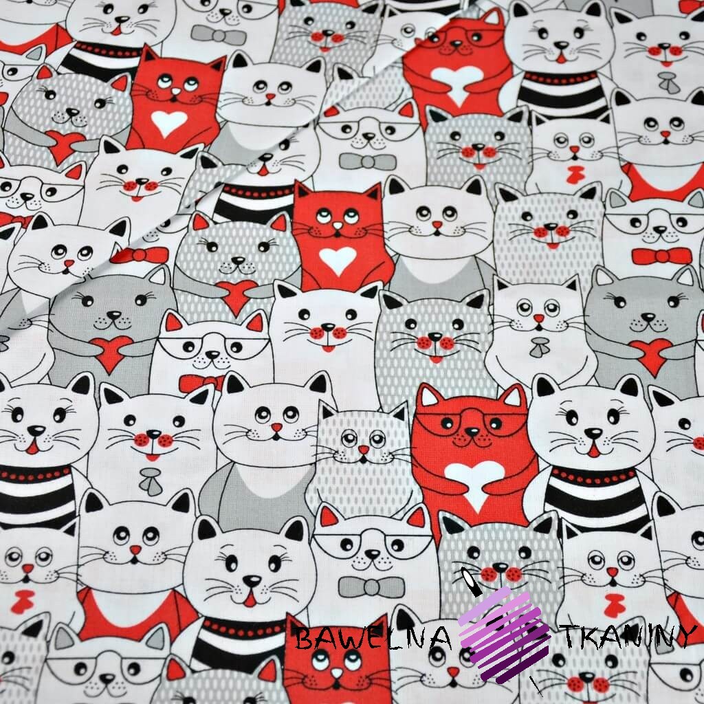 Bawełna koty w kinie szaro biało czerwone