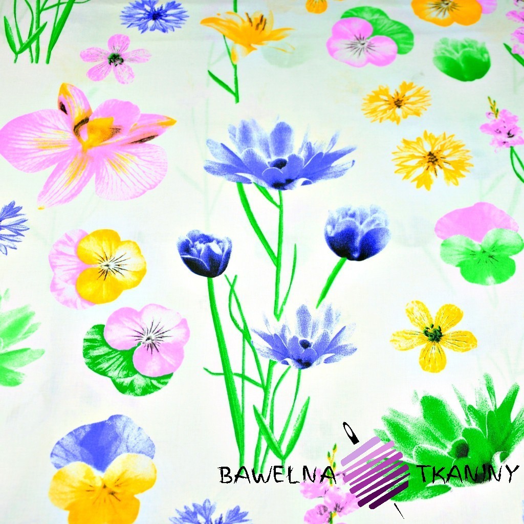 Cotton spring flowers on white background