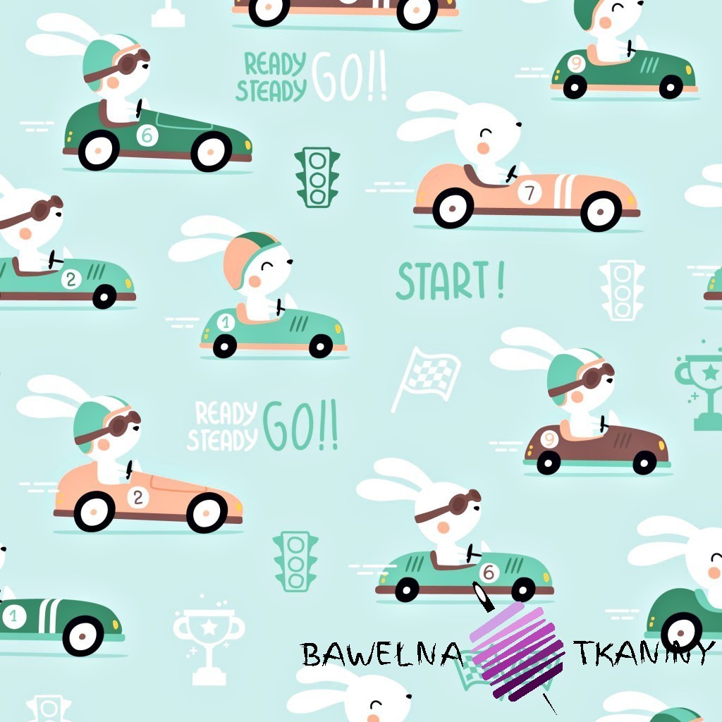 Cotton rabbits in race car on mint background