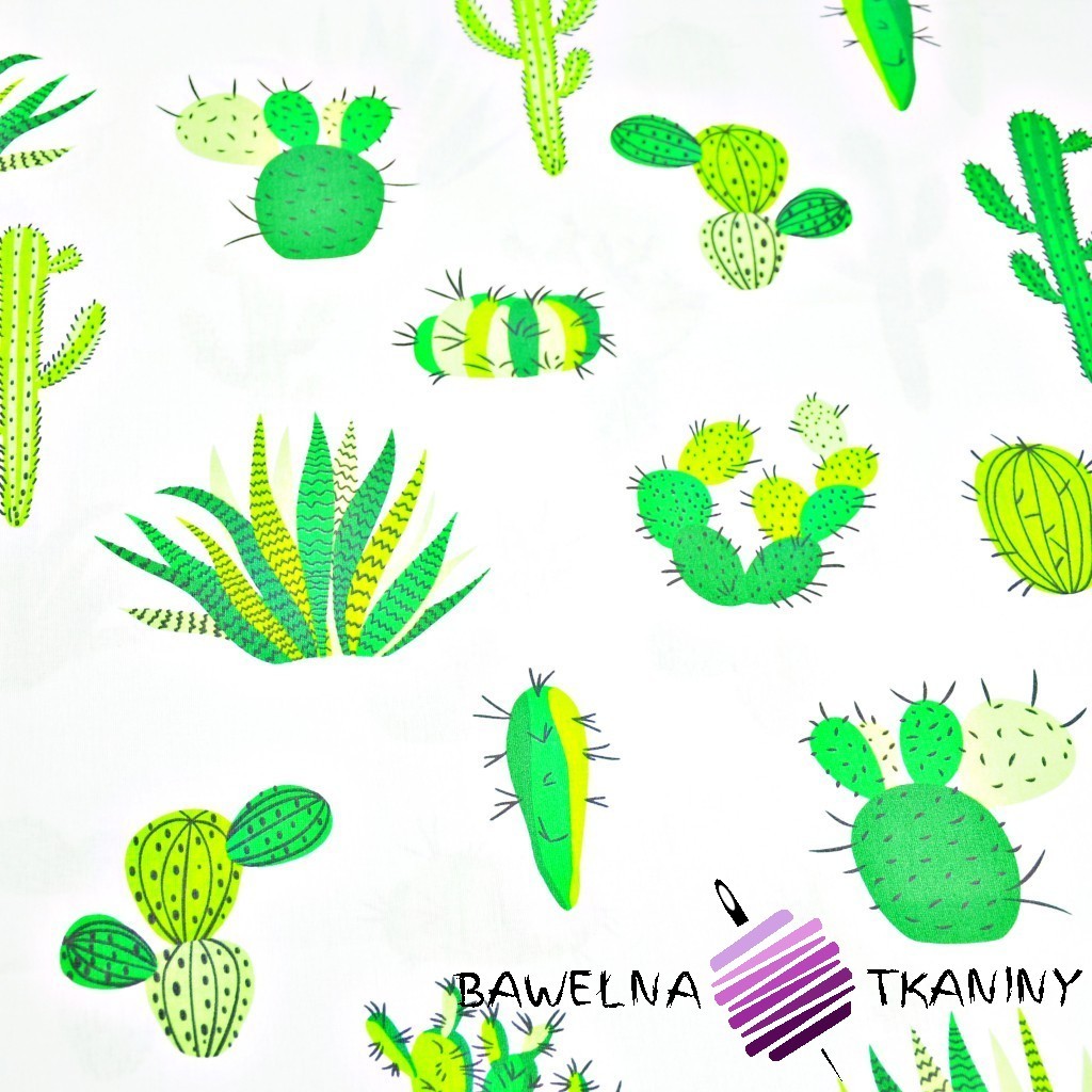 Bawełna kaktusy zielone na białym tle