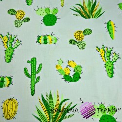 Bawełna kaktusy zielone na szarym tle