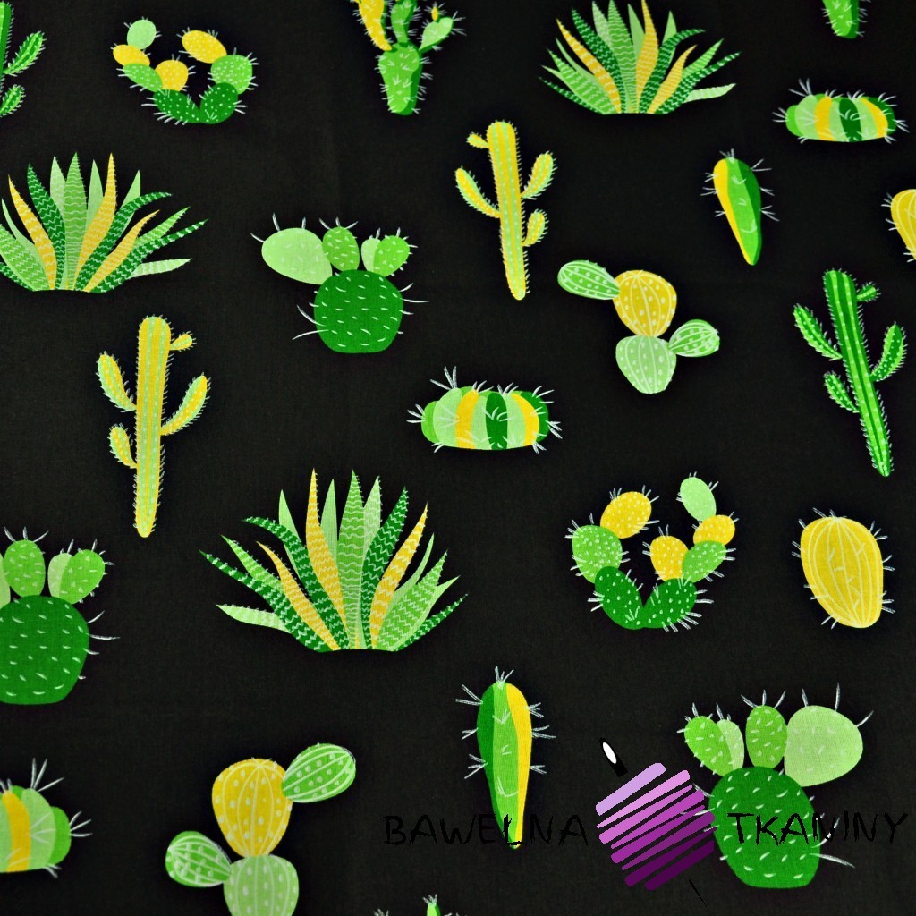 Cotton green cactuses on a black background