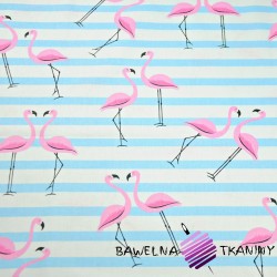 Bawełna flamingi z pasami błękitnymi na białym tle