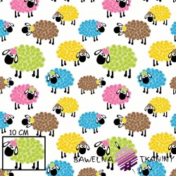 Bawełna owieczki kolorowe w kropeczki na białym tle