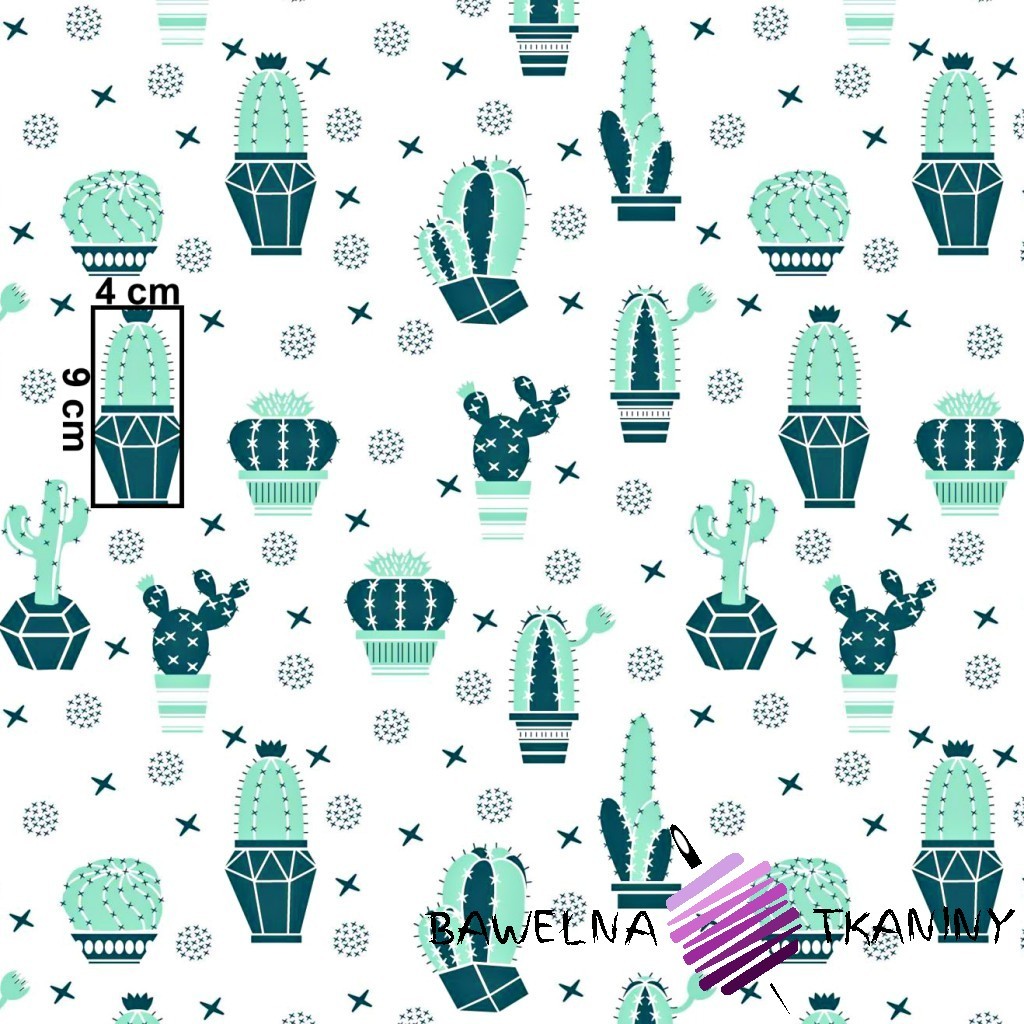 Cotton mint-green cactuses on a white background