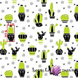 Bawełna kaktusy zielono czarne na białym tle