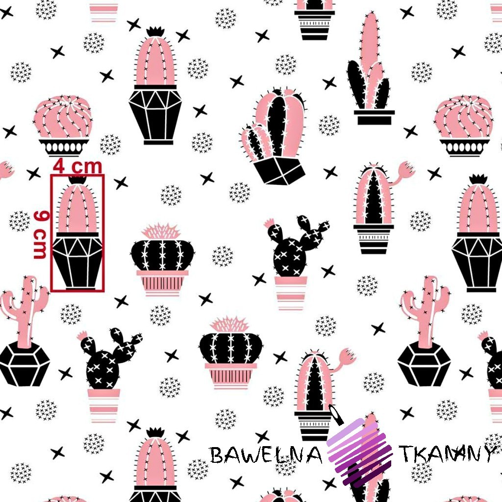 Cotton pink-black cactuses on a white background