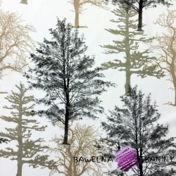 Bawełna drzewa brązowe na białym tle