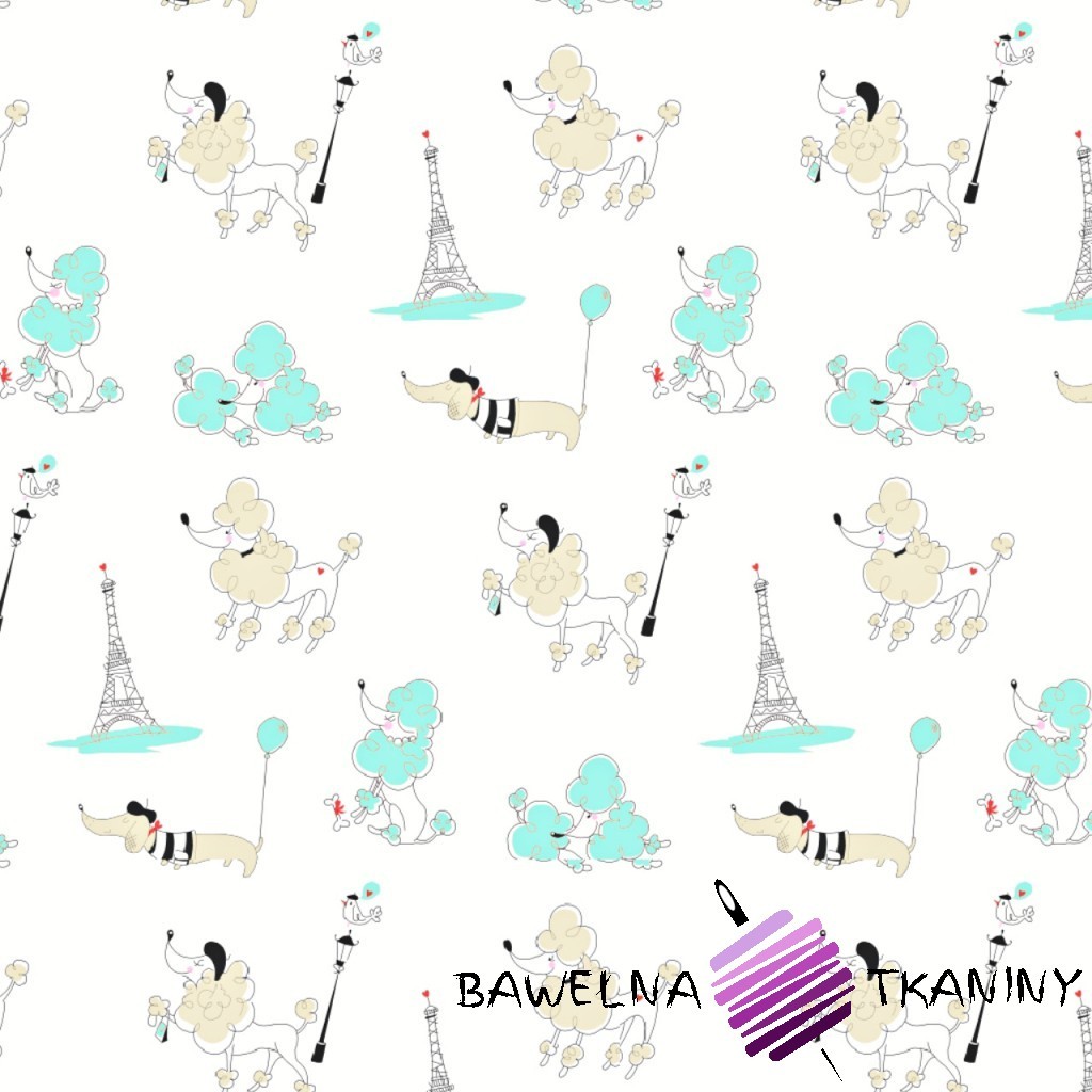 Bawełna Paryż morelowy na białym tle