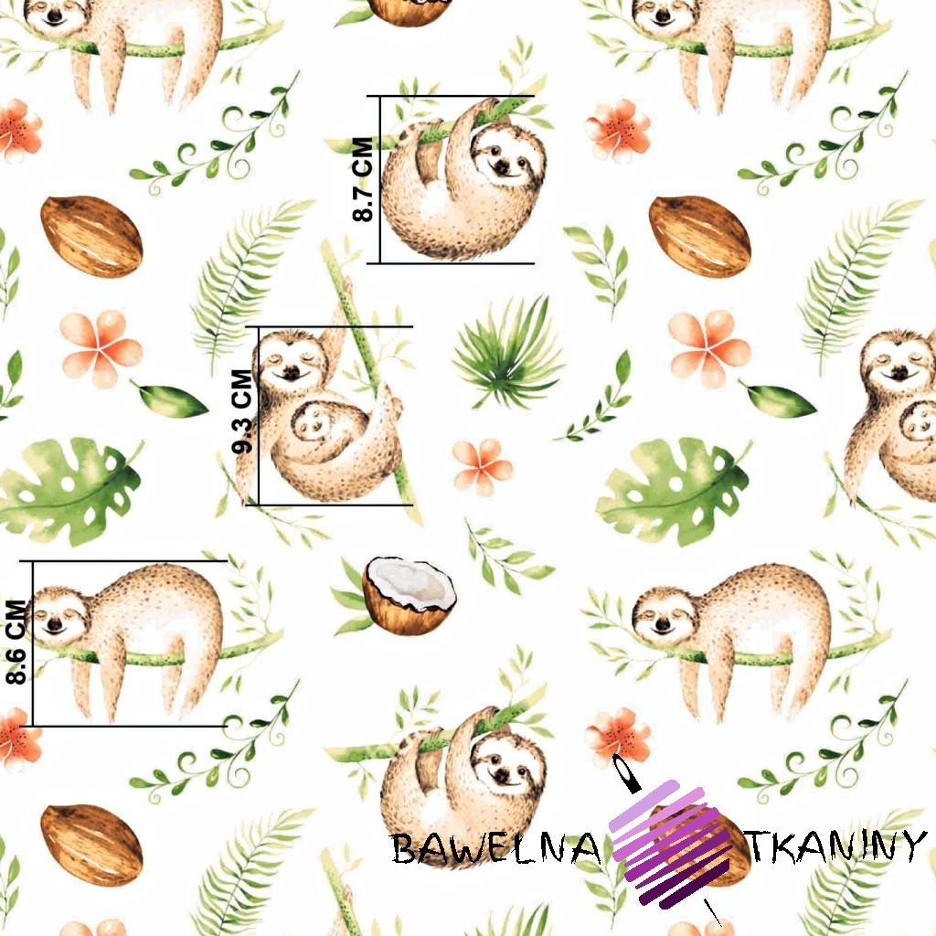 Cotton beige-green sloths on a white background