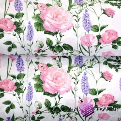 Cotton lavender with roses on a white background