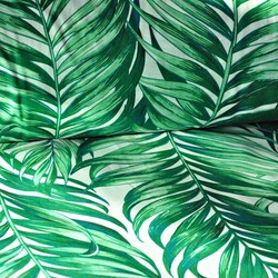 Cotton green palm leaves on a white background