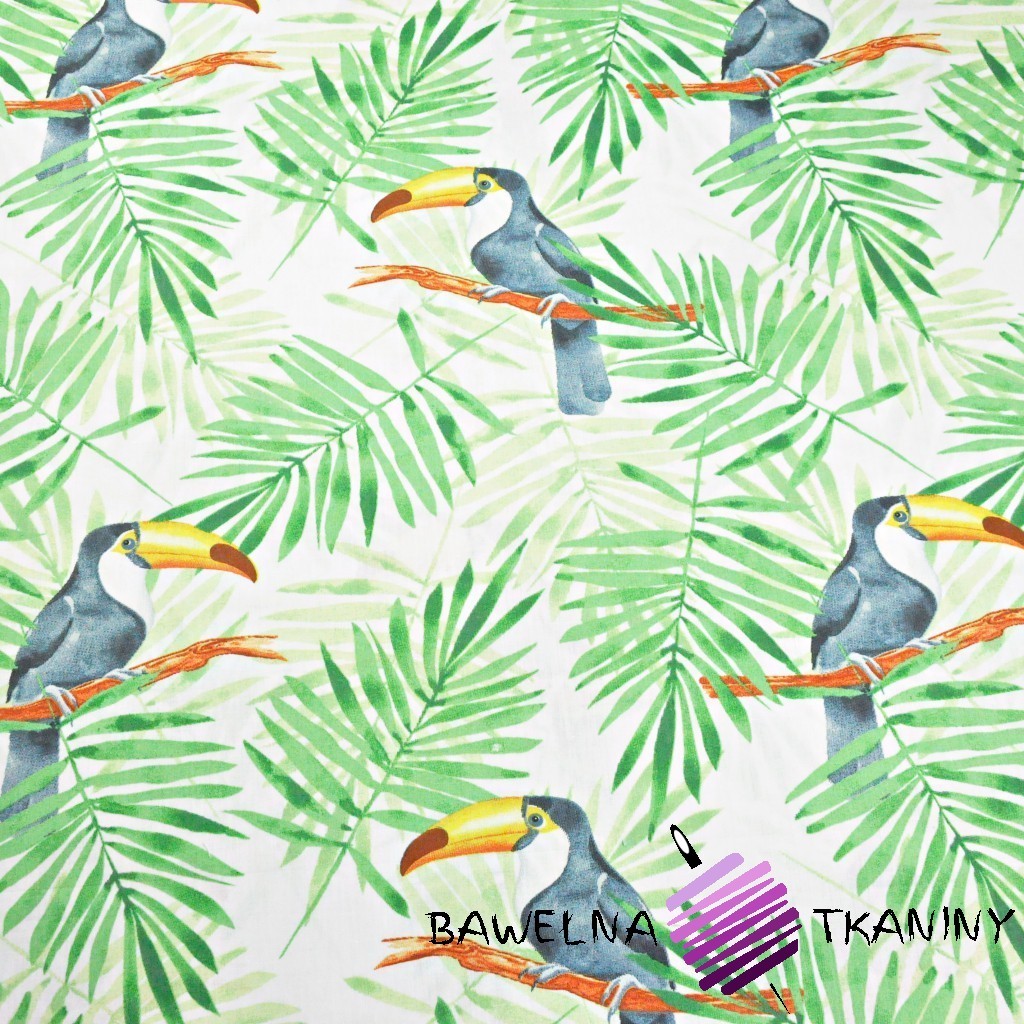 Cotton toucans with green palm leaves on a white background