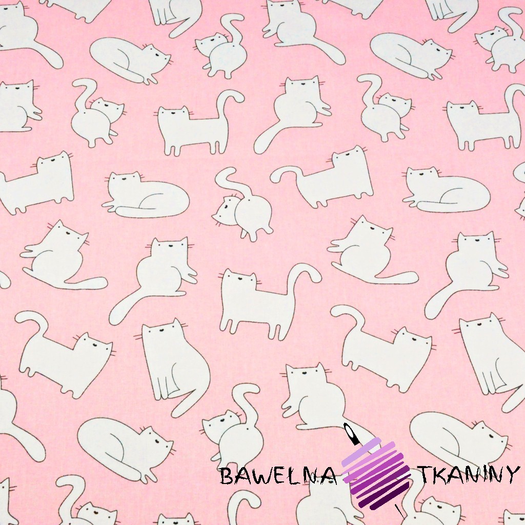 Cotton white cats on pink background