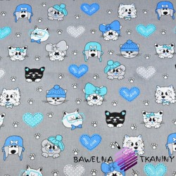 Cotton blue pets on gray background