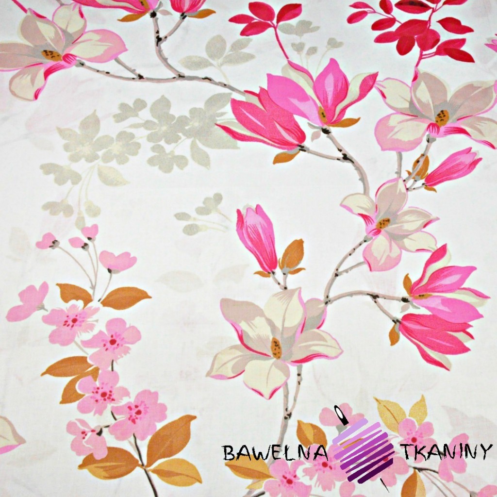 Cotton pink magnolia flowers on a white background