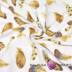Cotton brown feathers on white background