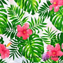 Cotton pink hibiscus with green leaves on a white background