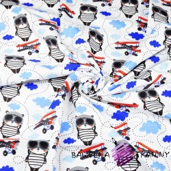 Cotton teddy bears red-blue pilots on a white background